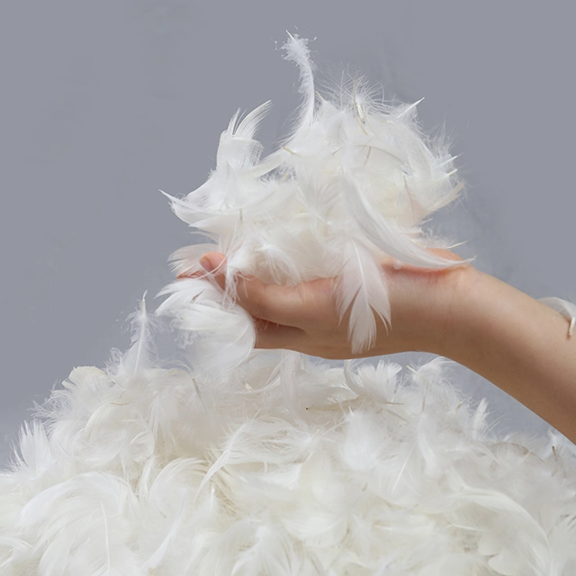 Factory Directly Supply Cheapest RDS White Washed 2-4cm Duck Feather